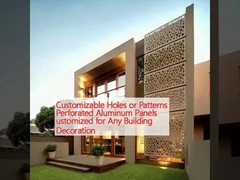 Agujeros o patrones personalizables Paneles de aluminio perforados adaptados para cualquier decoración de edificios
